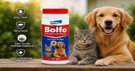 Elanco Bolfo Anti Tick & Flea Powder 75gm bottle for cats and dogs with a healthy cat and dog, ideal for flea and tick control.