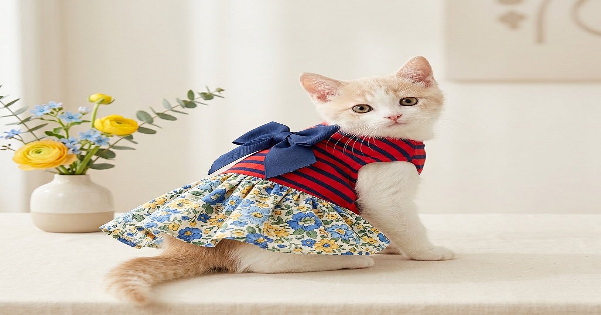 Bow Pet Dress Spring Summer Party Skirt Size M Bow Pet Dress for cats and dogs in Size M with spring summer party skirt