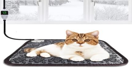 Cat resting comfortably on an electric heating pad winter warmer mat
