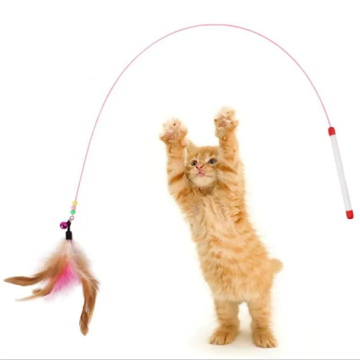 Plastic Pole Feather Teaser | Cat Wand
