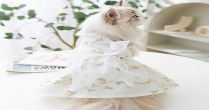 Princess flower dress skirt for cats in size L