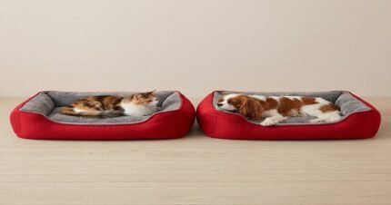 Red 2-piece Dog & Cat Bed Set for comfortable pet resting