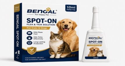 Bengal Spot-On 10ml flea and tick solution for cats and dogs with product box and applicator