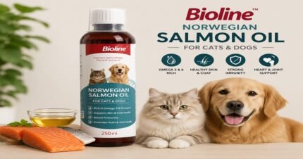 Bioline Norwegian Salmon Oil 250ml for cats and dogs