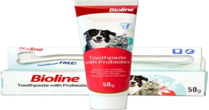 Bioline Probiotic Toothpaste 50gm for cats and dogs oral care.