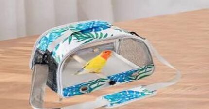 Portable leaf print fabric bird travel carrier bag with mesh window and standing perch