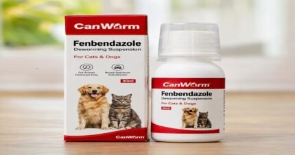 CanWorm Fenbendazole Deworming Suspension for Cats & Dogs, For Animal Treatment Only, Broad-Spectrum Anthelmintic, 30ml.