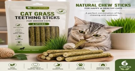 Cat Grass Teething Sticks for Indoor Cats 6 Sticks
