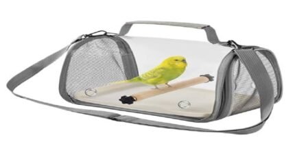 Clear Bird Carry Case for Budgie Travel