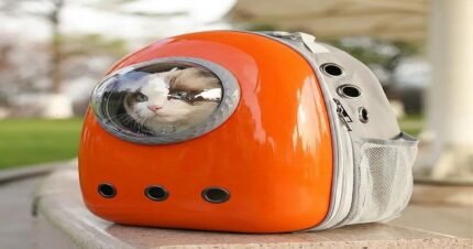 Orange Cute Cartoon Space Capsule Pet Backpack for Cats