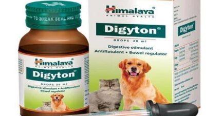 Himalaya Digyton Plus Herbal Digestive Drops for Dogs and Cats 30ml
