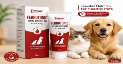 Petme Ferrotonic nutritional gel for cats and dogs