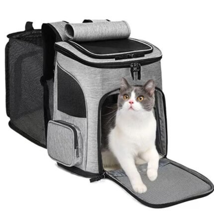 Foldable Pet Travel Bag with cat for comfortable travel
