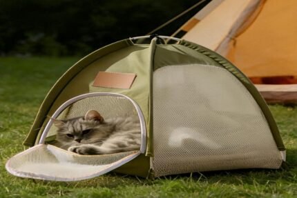 Foldable outdoor pet tent for cats and small dogs