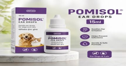 Intas Pomisol Ear Drops 15ml for dogs and cats
