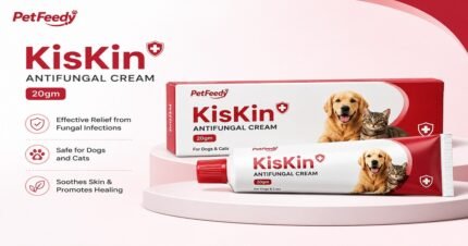 KisKin Antifungal Cream 20gm for dogs and cats by PetFeedy