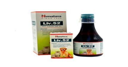 Himalaya Liv.52 Pet 200ml for Liver Support and Growth