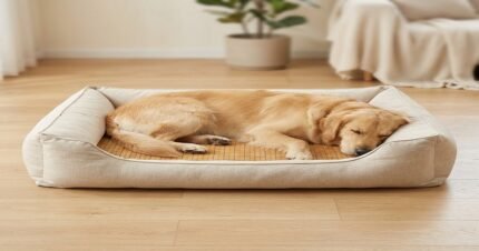 Washable Linen Pet Bed with Bamboo Mat for Large Dogs and Cats