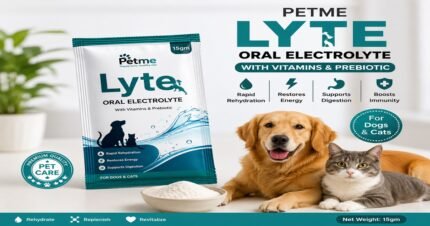 Petme Lyte Oral Electrolyte 15gm with Vitamins and Prebiotic for Dogs and Cats