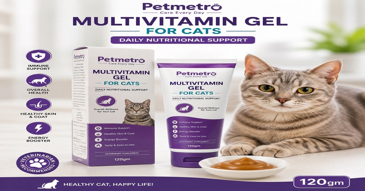 Petmetro Multivitamin Gel for Cats 120gm Petmetro Multivitamin Gel for Cats 120gm with cat