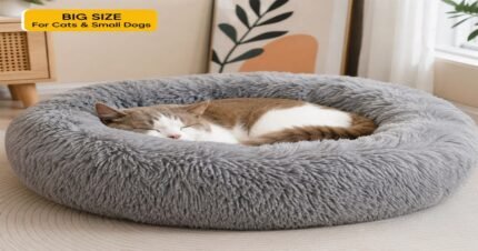 Soft Plush Round Pet Bed Big Size with a sleeping cat