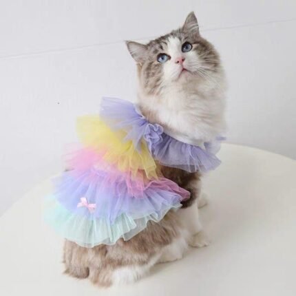 Soft rainbow princess dress with bow for cats and puppies
