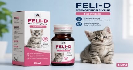 Areion Vet Feli-D Deworming Syrup 15ml for kittens