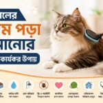 বিড়ালের লোম পড়া কমানোর ১০টি কার্যকর উপায়