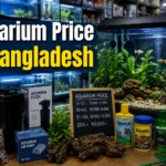 Alt Text: Different sizes of aquarium tanks with price range available in Bangladesh