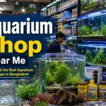 A well maintained aquarium shop in Bangladesh with healthy fish tanks and accessories