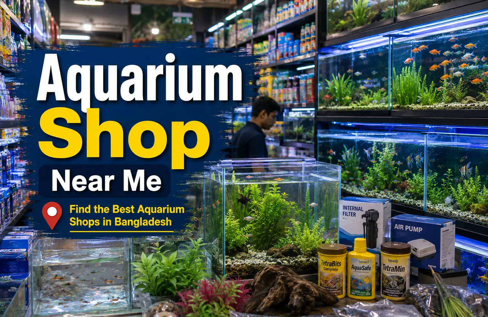 A well maintained aquarium shop in Bangladesh with healthy fish tanks and accessories