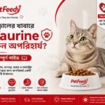 বিড়ালের খাবারে Taurine-এর গুরুত্ব এবং বিড়ালের স্বাস্থ্য