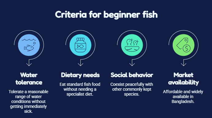 What Makes a Fish Right for Beginners