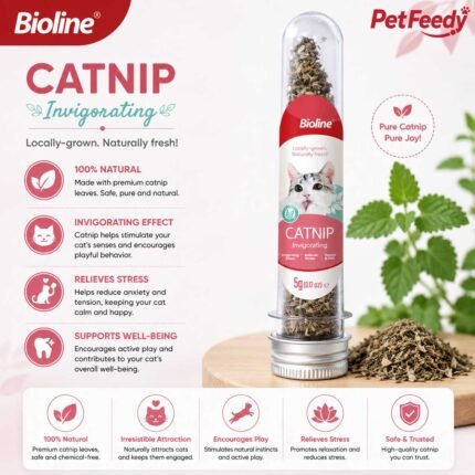 Bioline Catnip Invigorating tube 5g pure catnip for cats