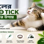 বিড়ালের Flea ও Tick দূর করার নিরাপদ ও কার্যকর উপায়