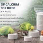 Budgies and lovebirds eating mineral calcium blocks to prevent deficiency