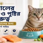 বিড়ালের খাবার ও পুষ্টির গুরুত্ব