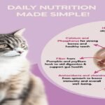 Daily Nutrition Made Simple for Cats