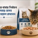 বিড়ালের খাবার নির্বাচন করার সময় যেসব বিষয় খেয়াল রাখবেন