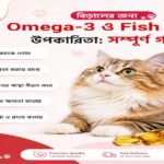 বিড়ালের জন্য Omega-3 ও Fish Oil-এর উপকারিতা