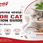 বয়স্ক বিড়ালের খাবার ও পুষ্টি সম্পর্কে Senior Cat Nutrition Guide