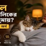 বিড়াল মালিকের গায়ে ঘুমাচ্ছে