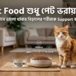 Healthy cat eating nutritious cat food from a bowl