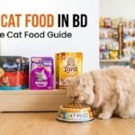 Cheap Cat Food in BD affordable cat food for cats